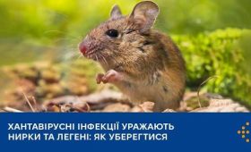 Хантавірус