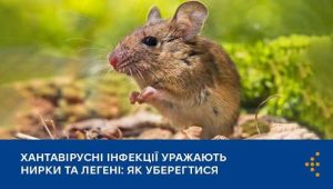 Хантавірус